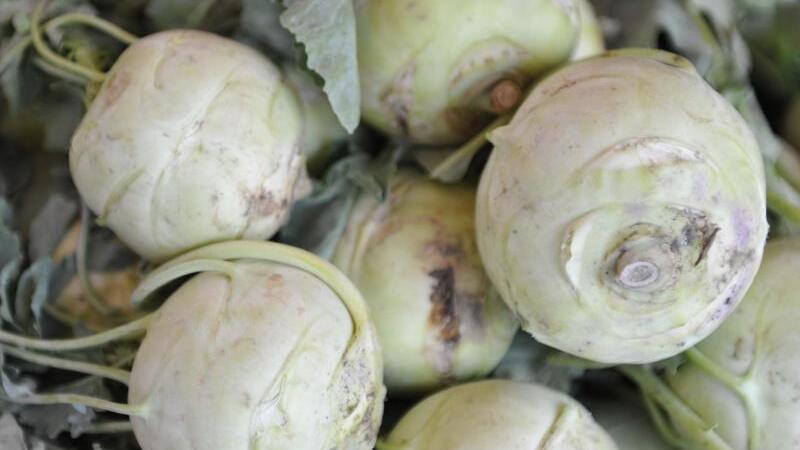 Kohlrabi