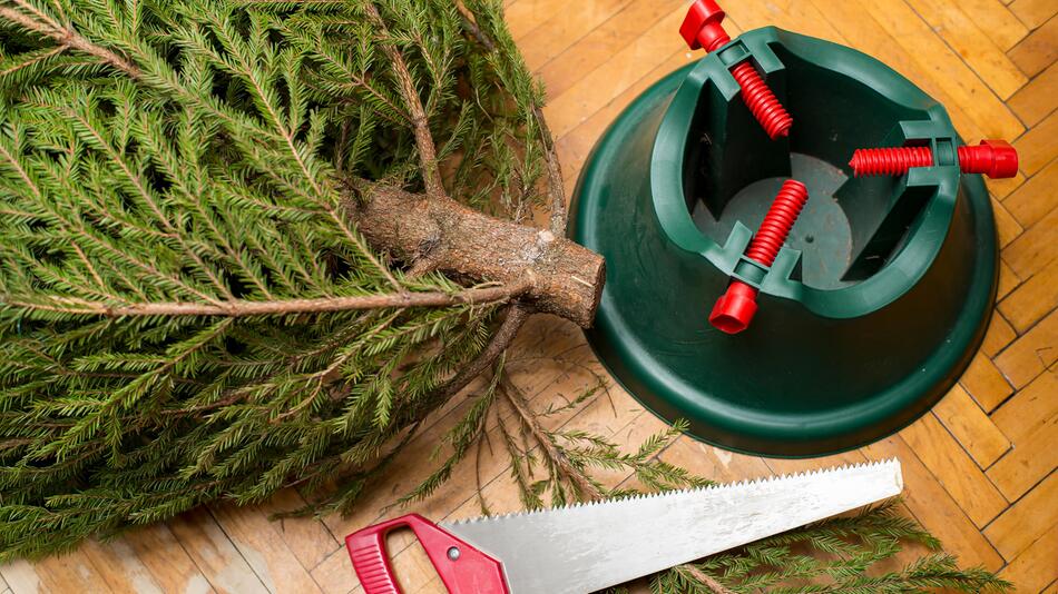 Weihnachtsbaum aufstellen Dieser Handgriff schadet der Tanne GMX.AT