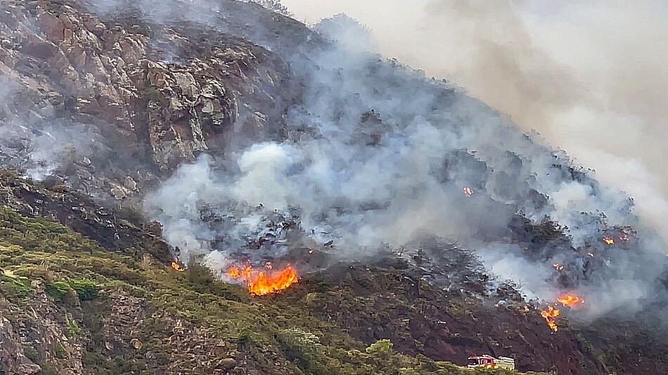 Großbrand auf Arthur's Seat in Edinburgh verwüstet Lebensraum von Wildtieren