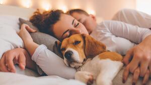 Junges Paar entspannenden auf dem Bett mit Ihrem Haustier Hund