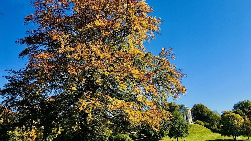 Altweibersommer