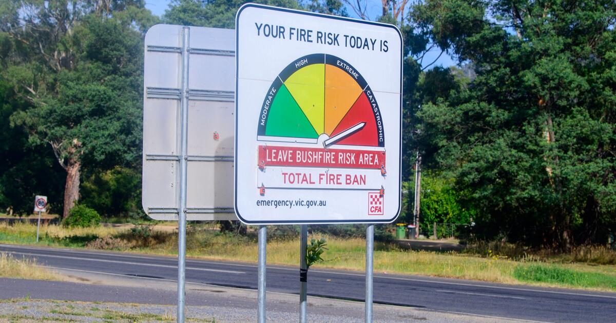 Dschungelcamp 2026 : Promis müssen sich auf Extremwetter einstellen