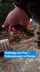 Schlange am Pool – cooler Polizeieinsatz in Florida