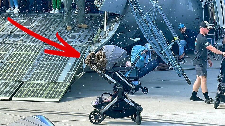 Umzingelt: Bienenschwarm nimmt Kinderwagen in Beschlag