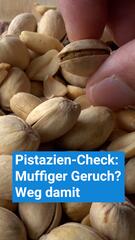 Pistazien-Check: Muffiger Geruch? Weg damit