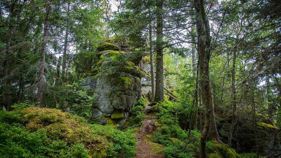 nationalpark deutschland