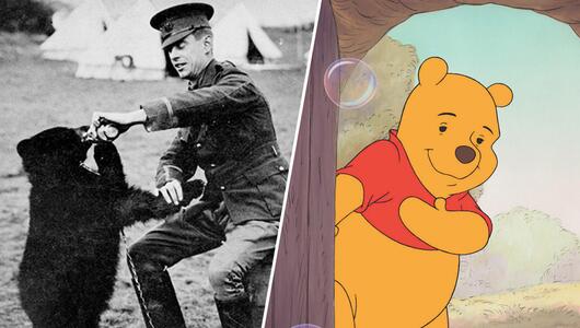 Winniepeg Bär Saldat Winnie Puuh