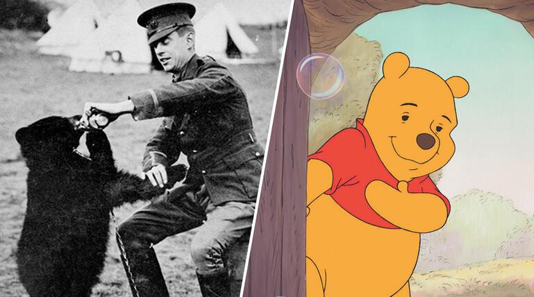 Winniepeg Bär Saldat Winnie Puuh