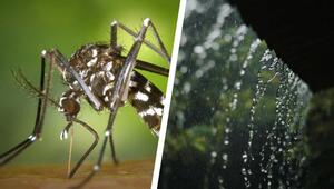 Vorbereitung statt Panik: So rüstest du dich für die Klimakrise – 7 Tipps