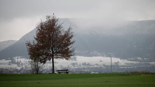 Winter in Baden-Württemberg