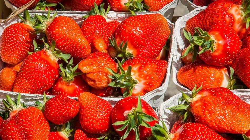 Erdbeeren Erdbeerzeit