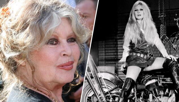 Brigitte Bardot – ihr letzter Wunsch wird nicht erfüllt