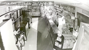 Gezielter Raubzug: Einbrecher erbeuten Pokémon-Karten im Wert von 100.000 Dollar