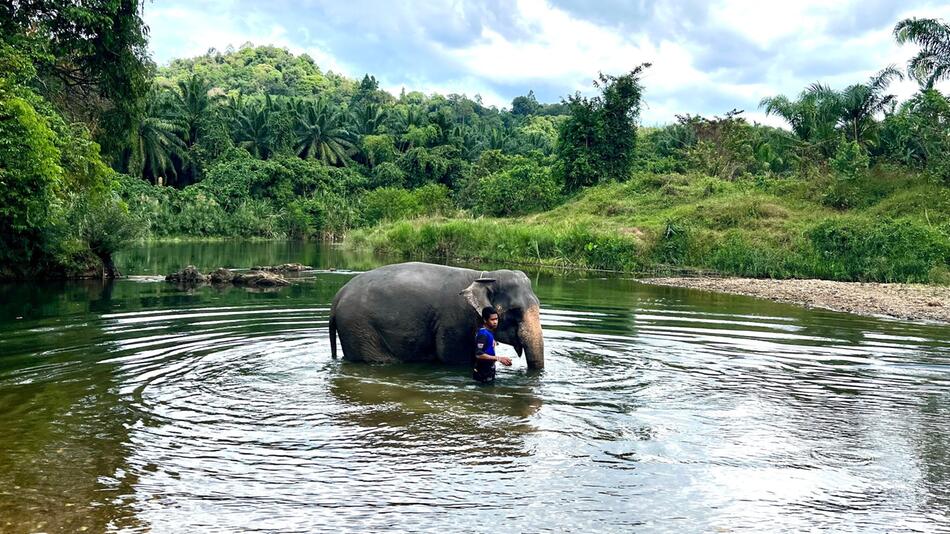 Elefantencamps in Thailand