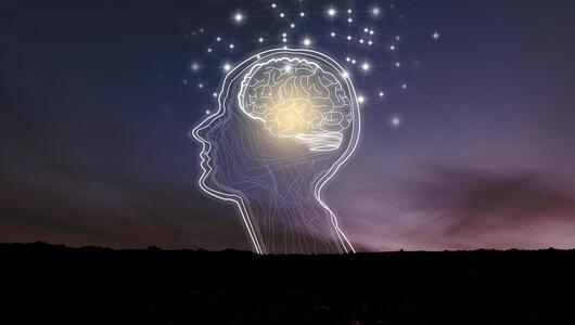 Bewusstsein, Ich, Freier Wille, KI, Künstliche Intelligenz, Forschung