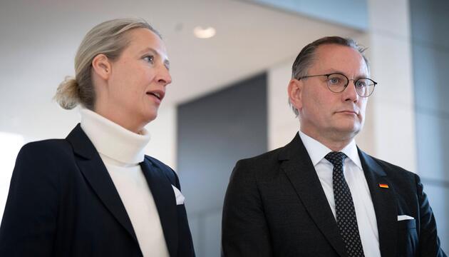 Alice Weidel, Tino Chrupalla