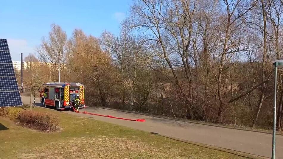 Flächenbrand in Rostock - womöglich durch Böller ausgelöst