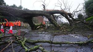 Sturm "Chandra" in England