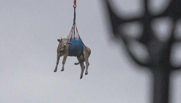 Massiver Bergrutsch droht: Dorf in der Schweiz komplett evakuiert
