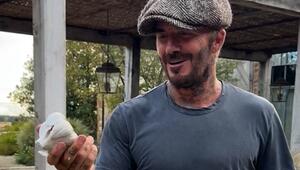 David Beckham mit Heimvorteil im Garten