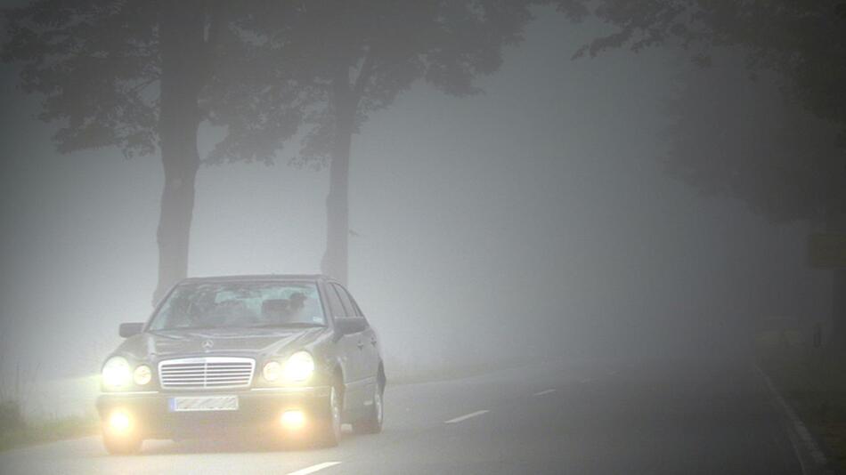 Autofahren im Herbst: So bereiten Sie Ihr Fahrzeug richtig vor