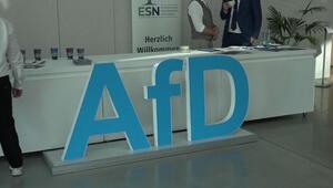 Sachsen-Anhalt: AfD präsentiert 100-Tage-Plan