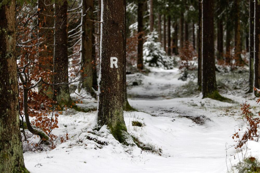 Wintereinbruch in Thüringen