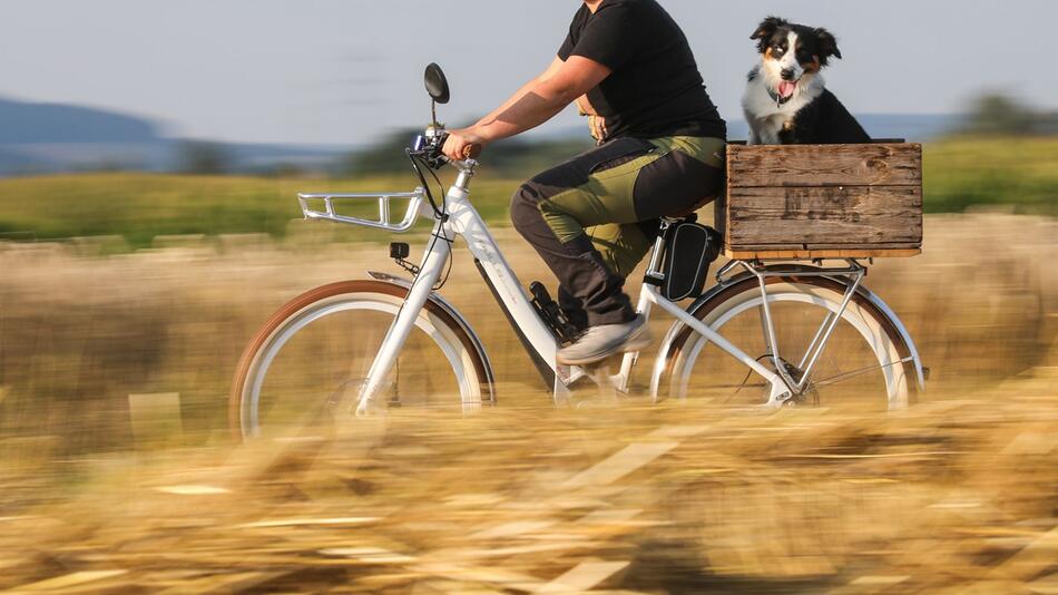 Eine Frau fährt mit einem Hund auf einem Fahrrad
