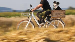 Eine Frau fährt mit einem Hund auf einem Fahrrad