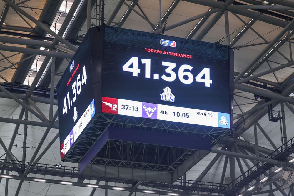 Vienna Vikings - Rhein Fire
