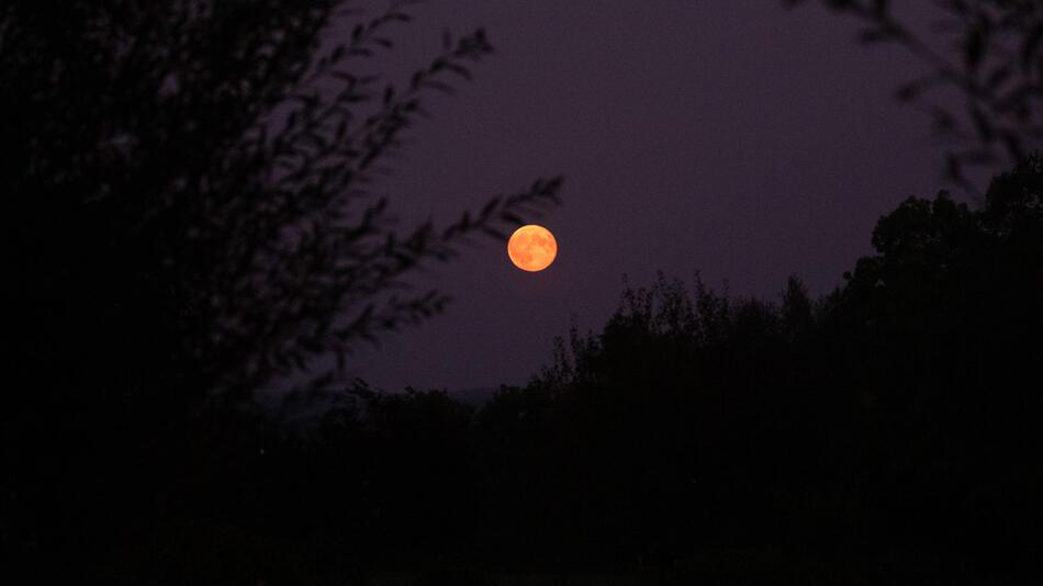 Vollmond