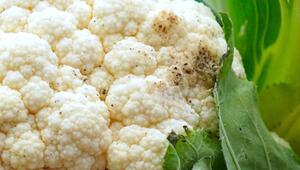 Blumenkohl mit schwarzen Punkten: Wegwerfen oder noch essen?
