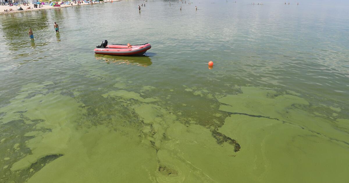 Trotz Maßnahmen gegen Überdüngung Ostsee hat sich noch nicht erholt GMX.AT Trotz Maßnahmen gegen Überdüngung Ostsee hat sich noch nicht erholt GMX.AT