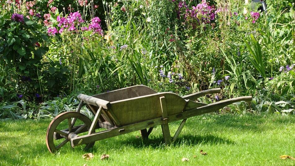 Essig ist auch im Garten von Nutzen