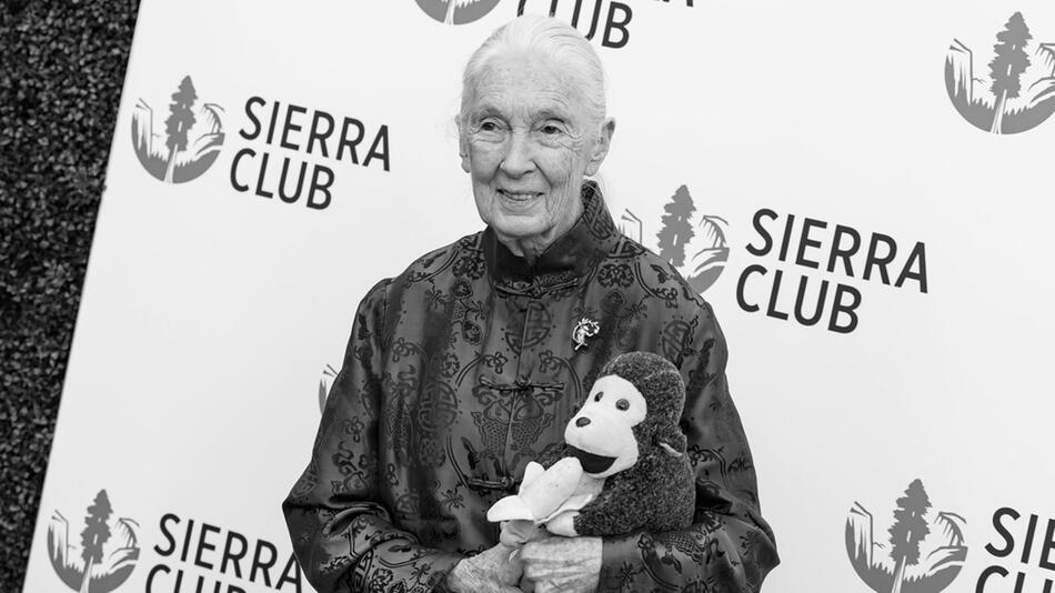 Dr. Jane Goodall, hier im April 2025, ist gestorben.