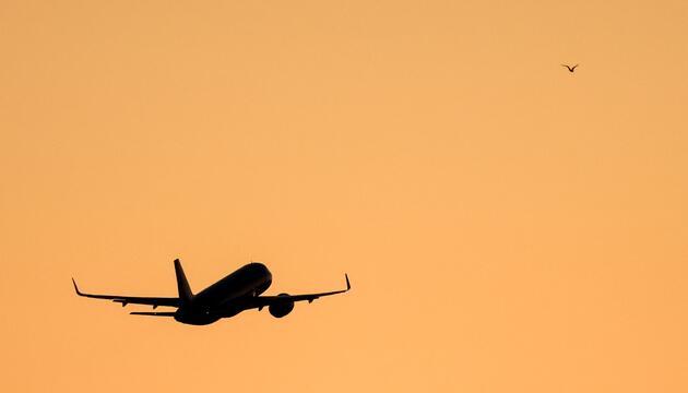 Flugzeug