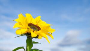 Bis zu 20 Grad am Donnerstag