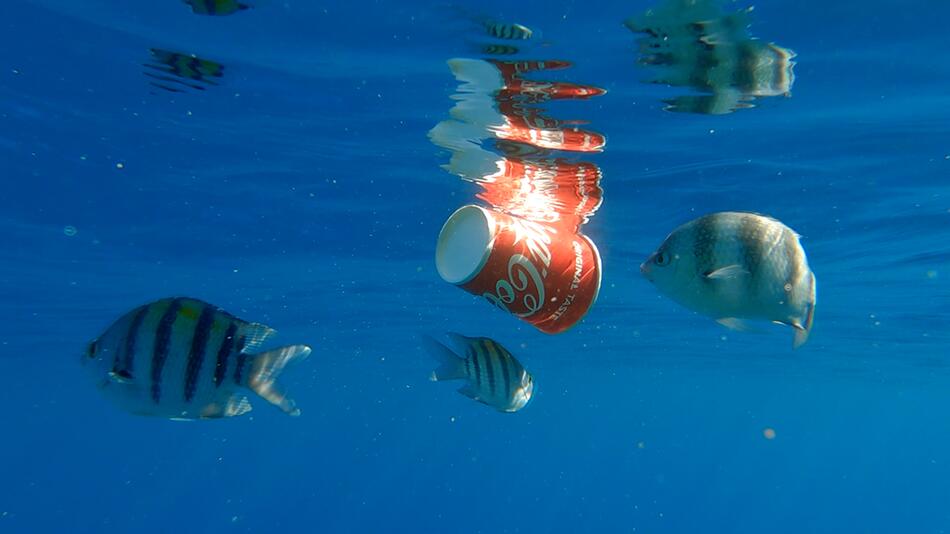 Coca-Cola erneut größter Plastikverschmutzer der Welt