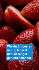 Wie du Erdbeeren richtig lagerst und länger genießen kannst