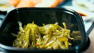 Algen im Check: Zwischen Jodquelle und Gesundheitsrisiko