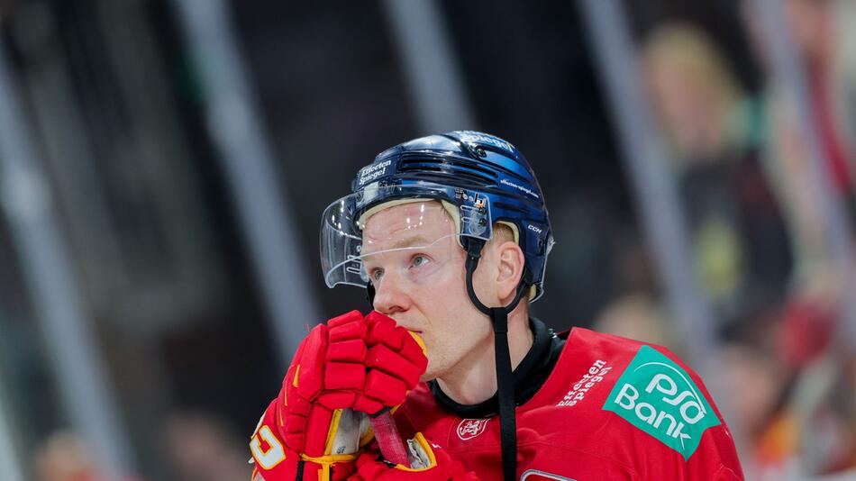 Düsseldorfer EG - Grizzlys Wolfsburg