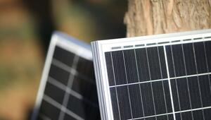 Zwei Solarmodule mit silbernem Rahmen, die vor einem Baum aufgestellt sind