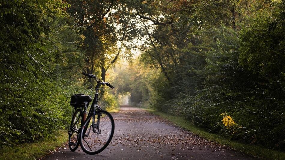 Bio-Bike