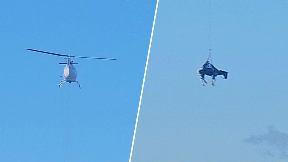 Aus dem Fluss geflogen: Hubschrauber holt Pferd aus dem Yellowstone River
