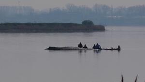 Rettung startet: Hoffnung für gestrandeten Wal