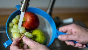 Obst wird unter fließendem Wasser gewaschen