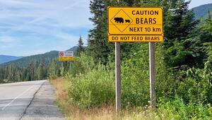 Schild in Whistler weist auf Bären hin