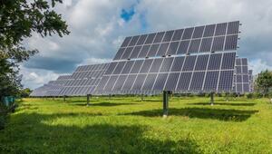 Solar Grazing