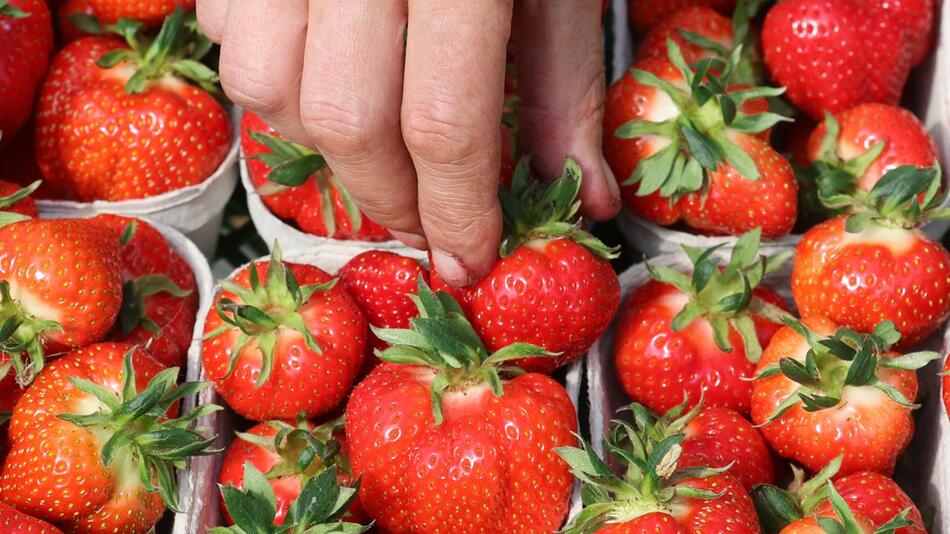 Umfrage zu Früchten und Beeren