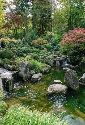 Botanischer Garten, Pflanzenvielfalt, Augsburg, Bayern